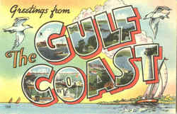 Greetings From The Gulf Coast Postcard
