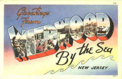 Greetings From Wildwood Postcard
