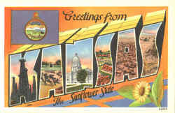 Greetings From Kansas The Sunflower State Postcard