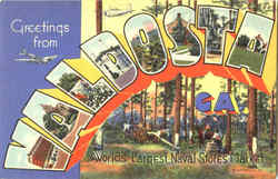 Greetings From Valdosta Postcard