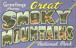 Greetings From Great Smoky Mountains Postcard