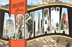 Greetings From Montana Postcard