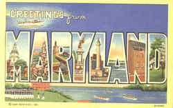 Greetings From Maryland Postcard