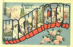 Greetings From Washington Postcard