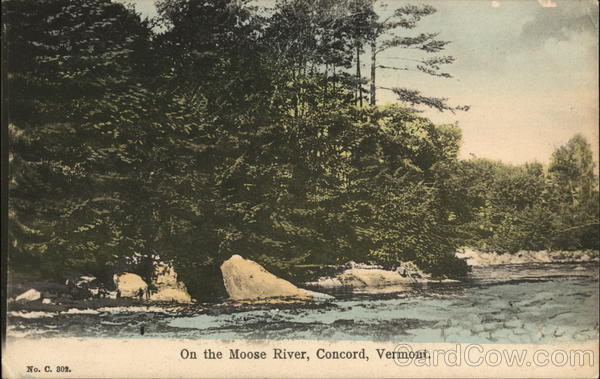 On the Moose River Concord Vermont
