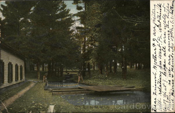 At the Fish Hatchery Corry Pennsylvania