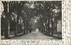 Washington Street Beverly, MA Postcard Postcard Postcard