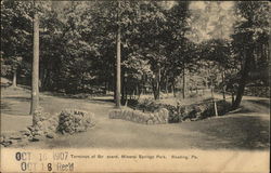 Terminus of Boulevard, Mineral Springs Park Postcard