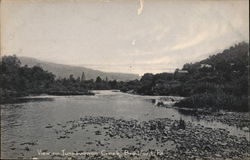View on Tuneaugwon Creek Postcard
