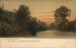 View on Tuneangwon Creek Postcard
