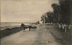 View in Lake Park Postcard