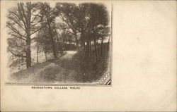 Georgetown College Walks (Georgetown University) Postcard