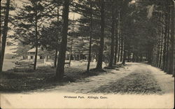 Wildwood Park Postcard