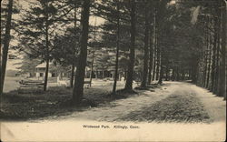 Wildwood Park Killingly, CT Postcard Postcard Postcard