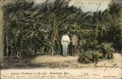 Stock #543990 Thumbnail