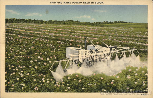 Spraying Maine Potato Field in Bloom