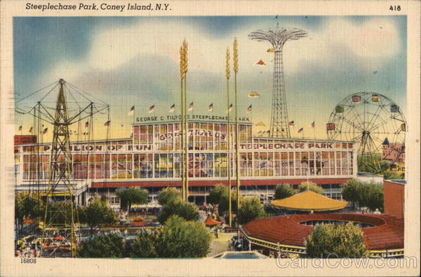 View of Steeplechase Park Coney Island, NY Postcard