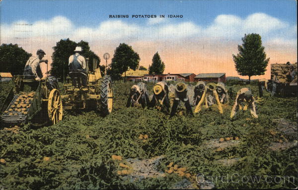 Raising Potatoes in Idaho Farming