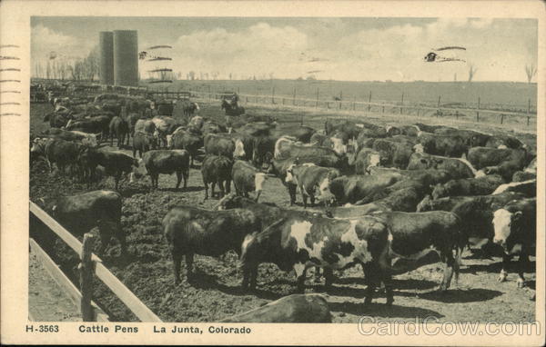 Cattle Pens La Junta Colorado