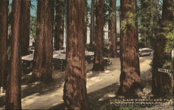 Lane's Redwood Flat, Redwood Highway California