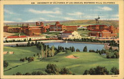 University of California at Los Angeles Westwood Hills Postcard