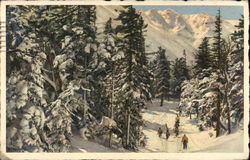 Mt. Washington Showing Boot Spur Crags Postcard