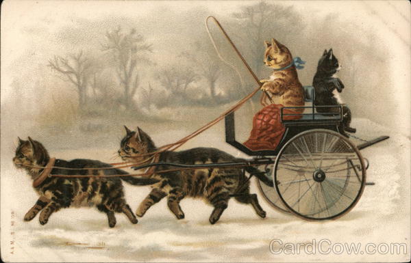 Cats and Wagon