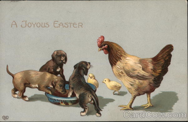 A Joyous Easter - Puppies Eating with Rooster and Chicks Watching