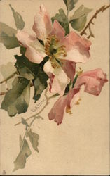 Pink Flowers Postcard