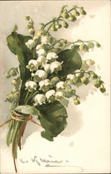 Lilies of the Valley Flowers Postcard Postcard Postcard