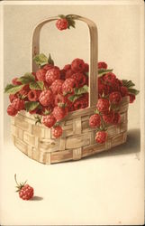 Beautiful Red Berries Postcard