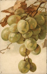 Grapes on teh Vine Fruit Postcard Postcard Postcard