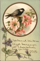 Bird with Flowers Postcard