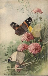 Butterflies Postcard Postcard Postcard