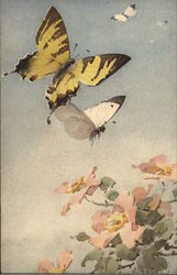 Beautiful Butterflies Postcard