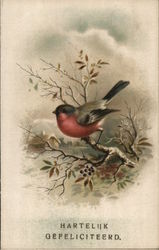 Bird Postcard
