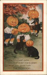 Black Cats and Pumpkins Postcard
