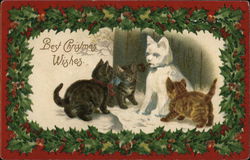 Best Christmas Wishes Postcard