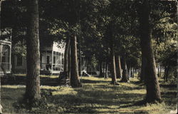 Lindendale Cottages Postcard