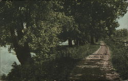 A Mississinewa Drive Postcard