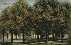 Old School Park Postcard