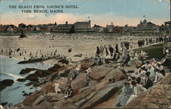 The Beach from Young's Hotel York Beach, ME Postcard Postcard Postcard