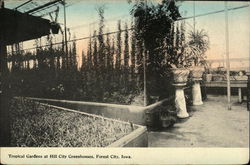 Tropical Gardens at Hill City Greenhouses Postcard