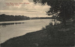 Cedar River from Cedar Heights Postcard