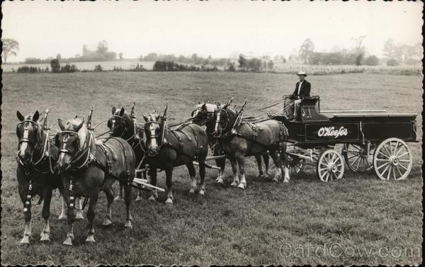 O'Keefes Ale Delivery Wagon and Team Horse-Drawn