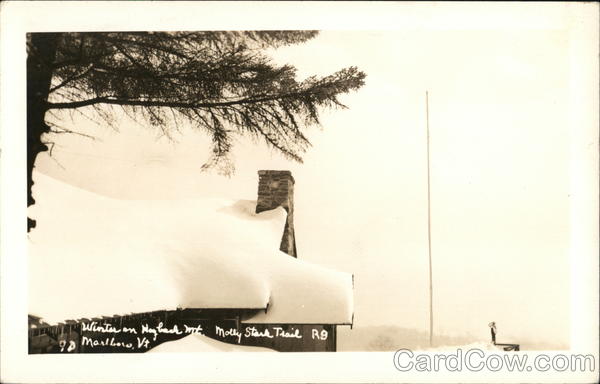 Winter on Hogback Mountain, Molly Stark Trail Marlboro Vermont