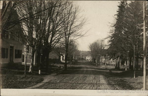 Residential Street Landscapes