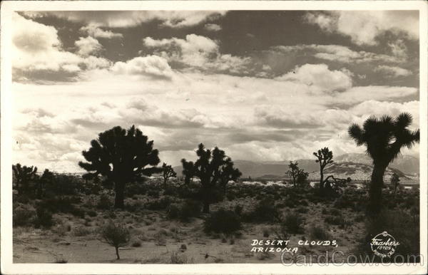 Desert Clouds Arizona
