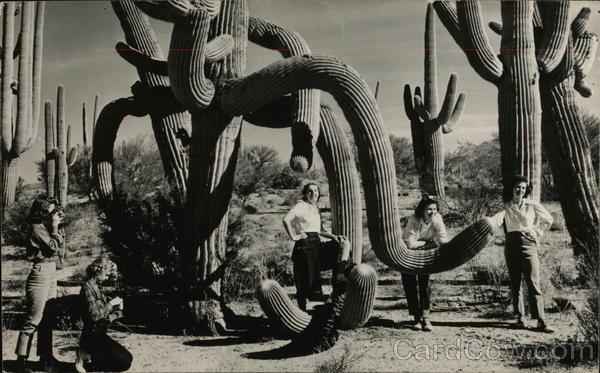 Posing With Large Cacti Cactus & Desert Plants
