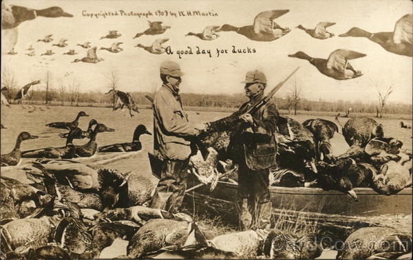 A good day for ducks...Hunting that is.... Exaggeration